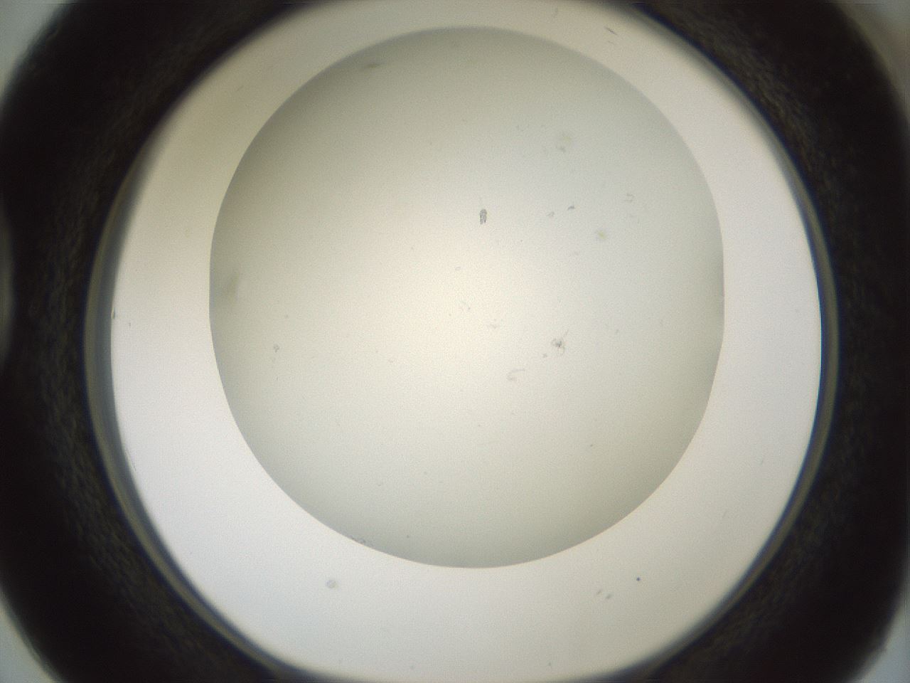 folderID370_plateID1370_batchID4736_wellNum38_profileID1_d1_r83573_ef.jpg