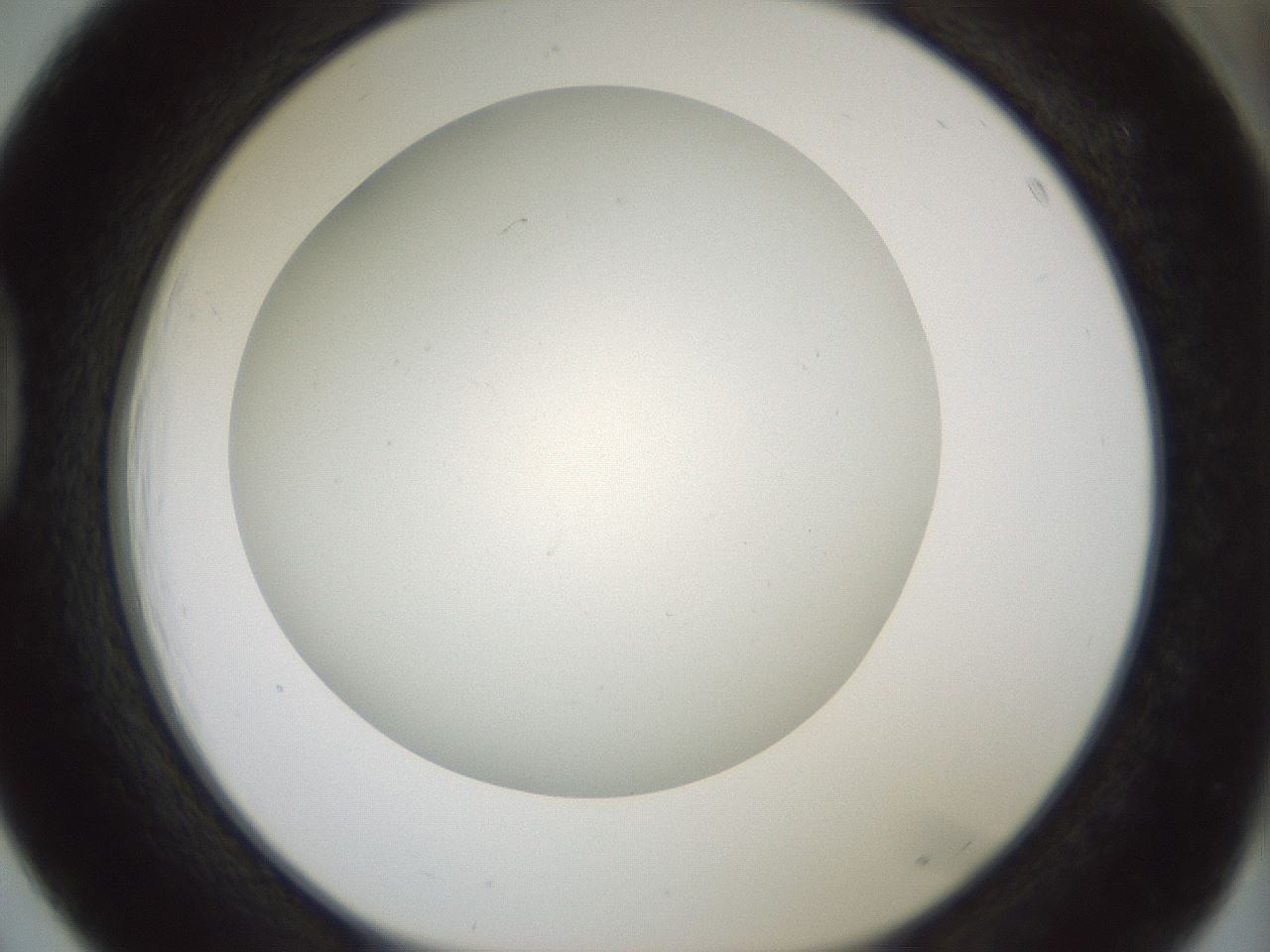 folderID370_plateID1370_batchID4736_wellNum39_profileID1_d1_r83574_ef.jpg