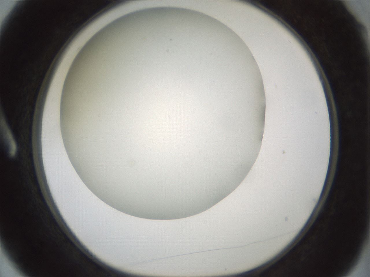 folderID370_plateID1370_batchID4736_wellNum3_profileID1_d1_r83538_ef.jpg