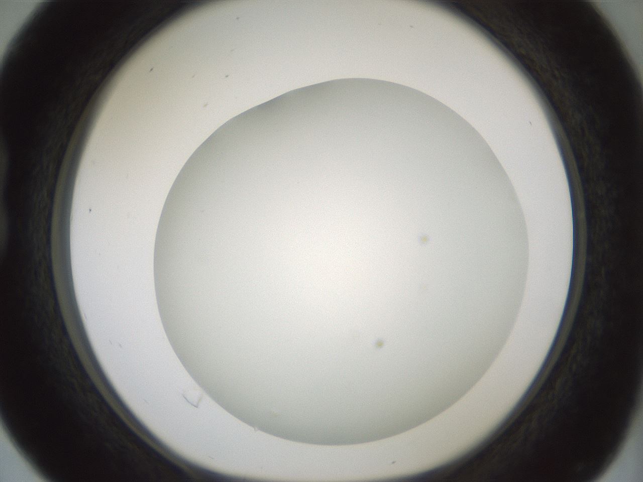 folderID370_plateID1370_batchID4736_wellNum16_profileID1_d1_r83551_ef.jpg