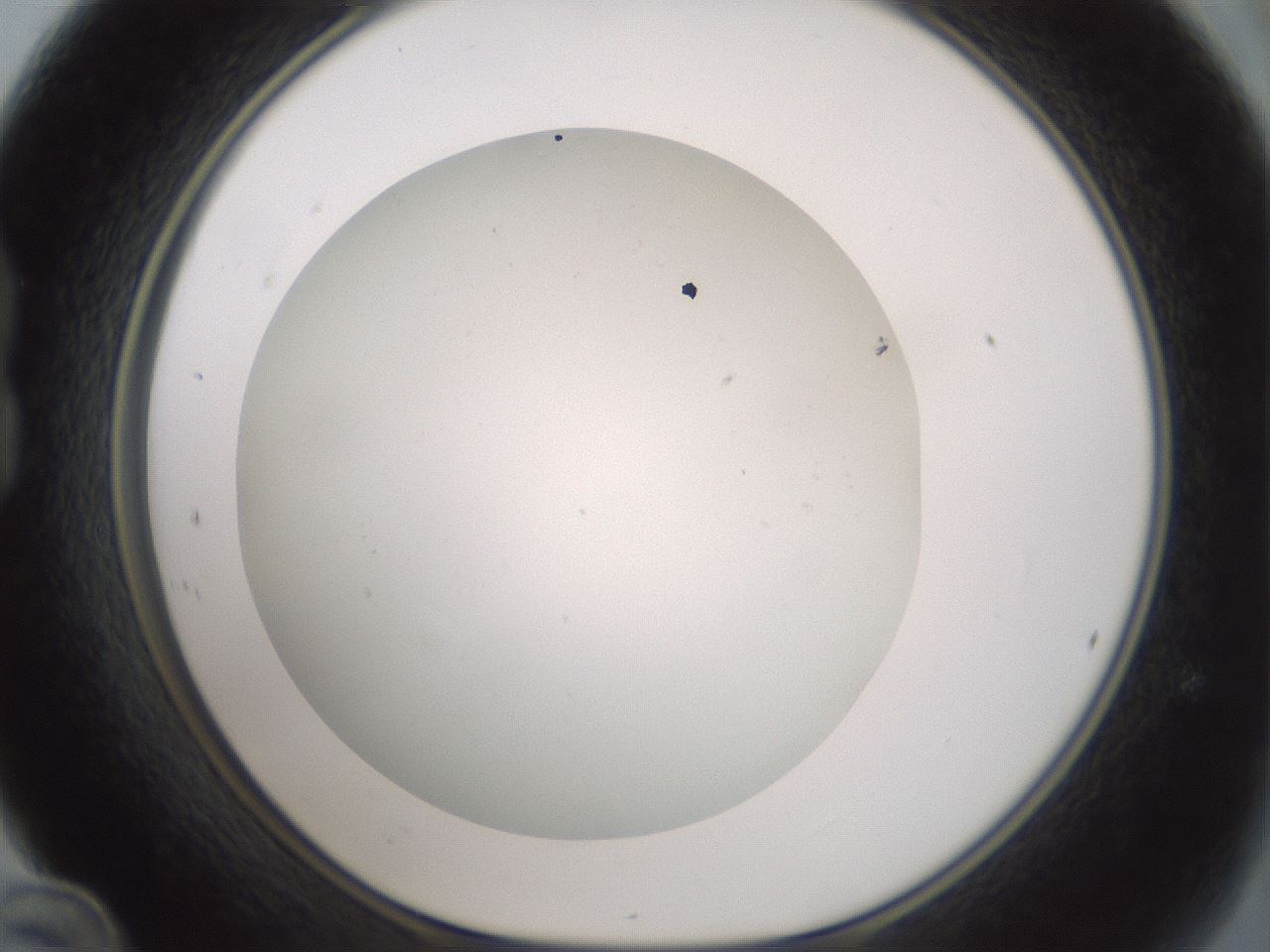 folderID370_plateID1370_batchID4736_wellNum24_profileID1_d1_r83559_ef.jpg