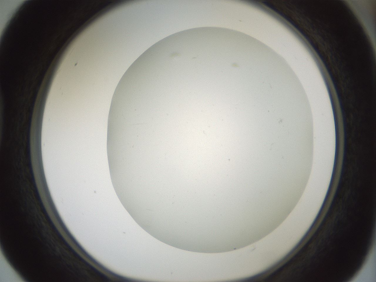 folderID370_plateID1370_batchID4736_wellNum40_profileID1_d1_r83575_ef.jpg