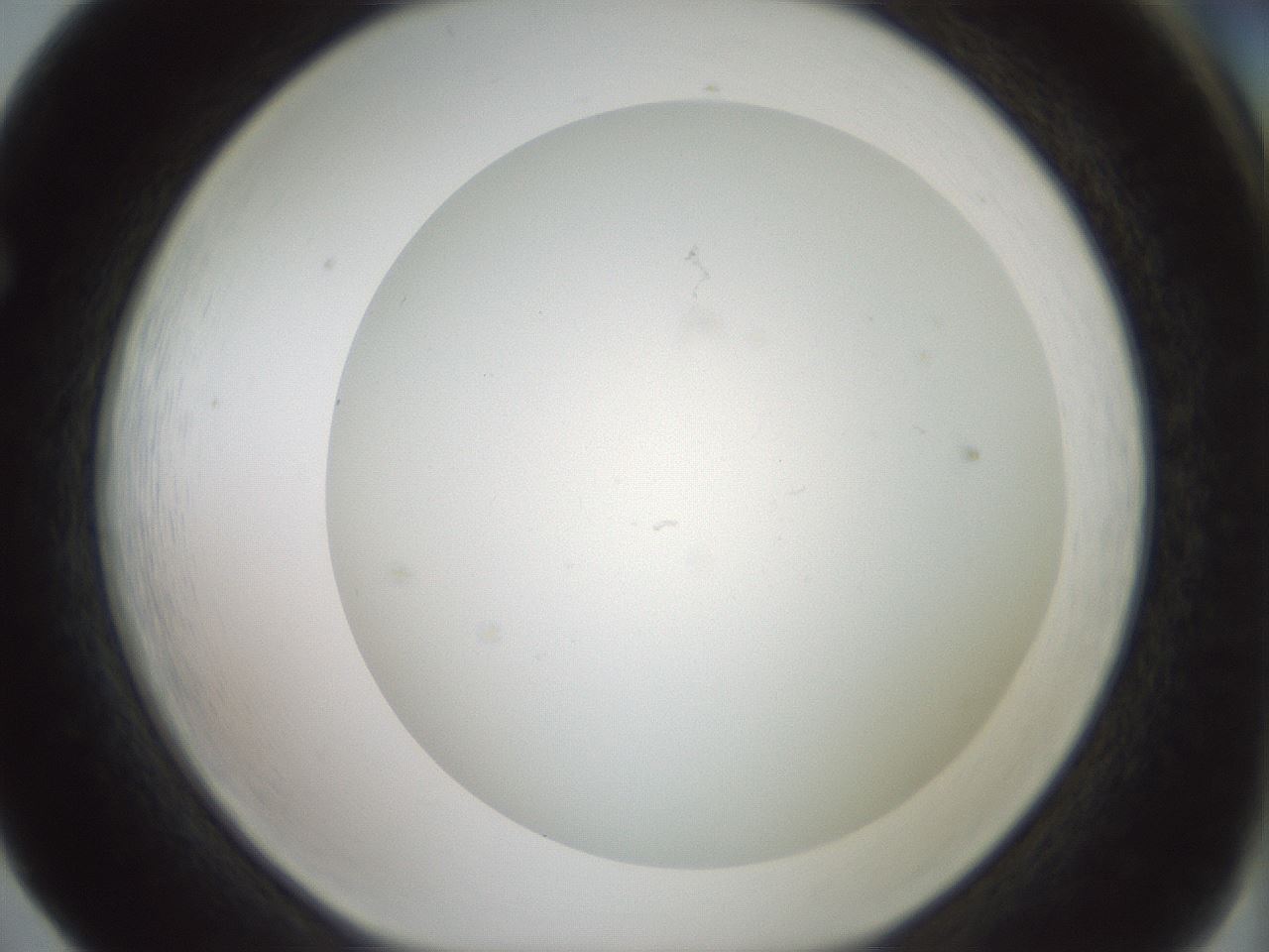folderID370_plateID1370_batchID4736_wellNum65_profileID1_d1_r83600_ef.jpg