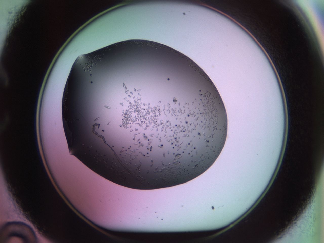 02kl_C10_ImagerDefaults_9.jpg