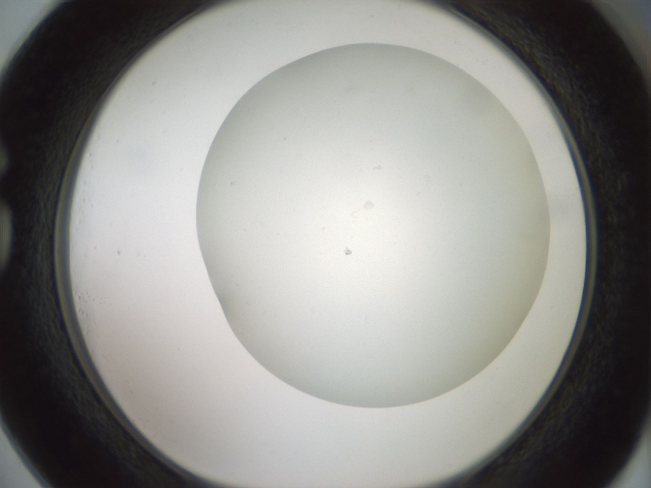 folderID370_plateID1370_batchID4736_wellNum73_profileID1_d1_r83608_ef.jpg