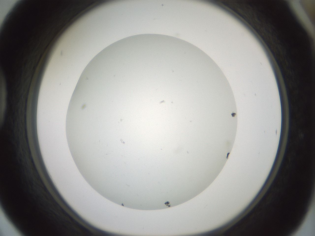 folderID370_plateID1370_batchID4736_wellNum42_profileID1_d1_r83577_ef.jpg