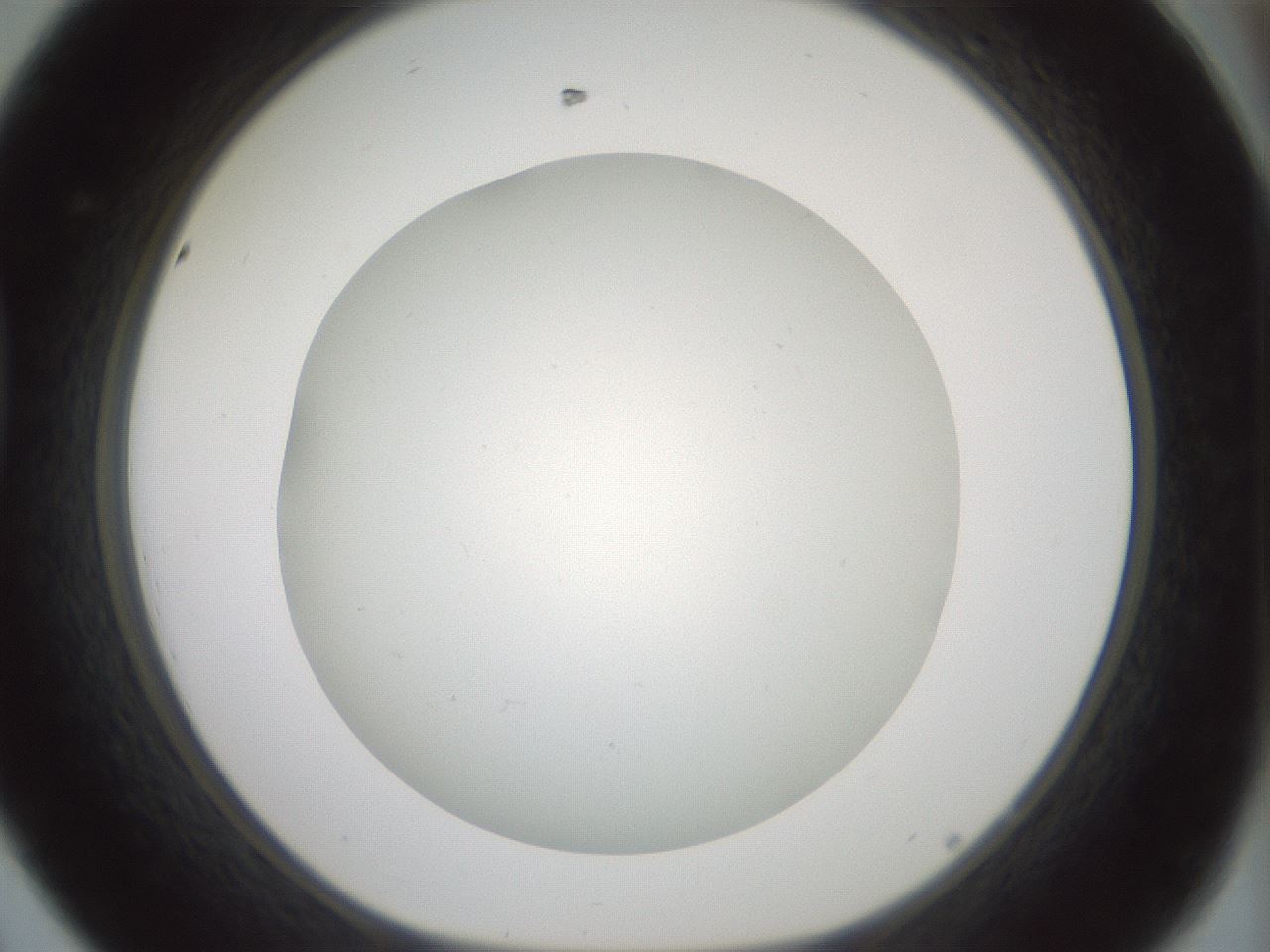 folderID370_plateID1370_batchID4736_wellNum44_profileID1_d1_r83579_ef.jpg