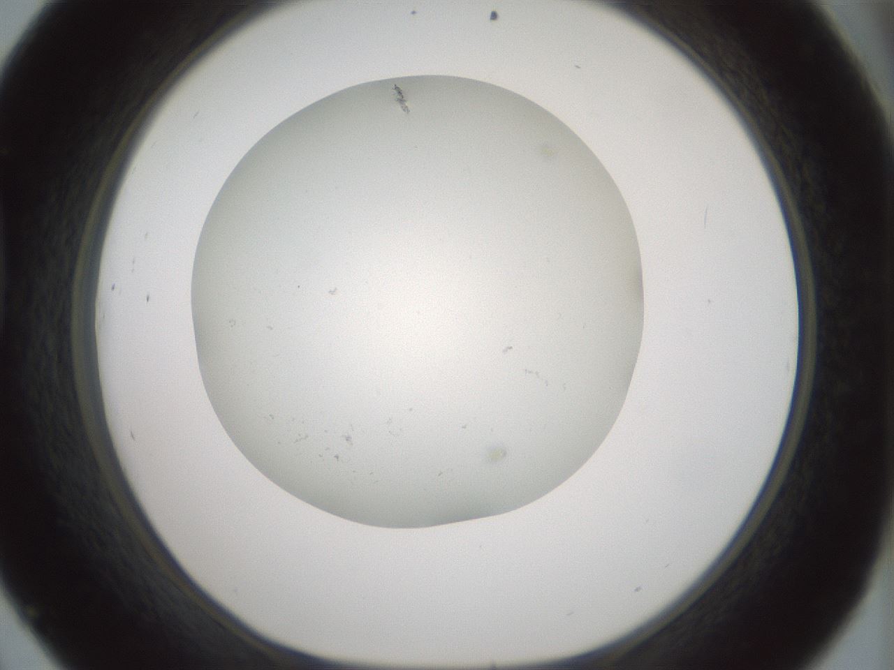 folderID370_plateID1370_batchID4736_wellNum45_profileID1_d1_r83580_ef.jpg