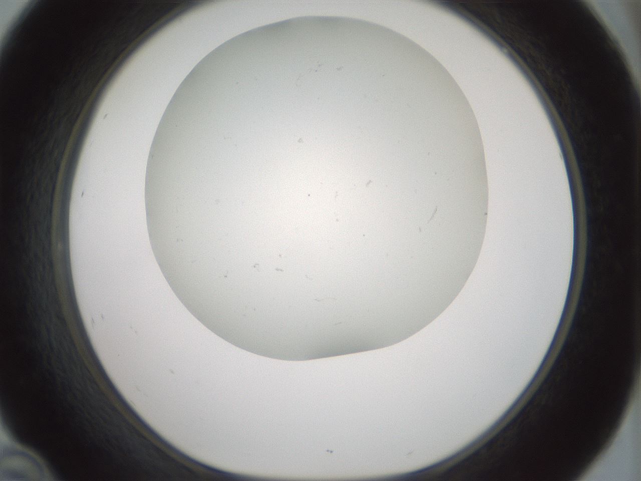 folderID370_plateID1370_batchID4736_wellNum46_profileID1_d1_r83581_ef.jpg
