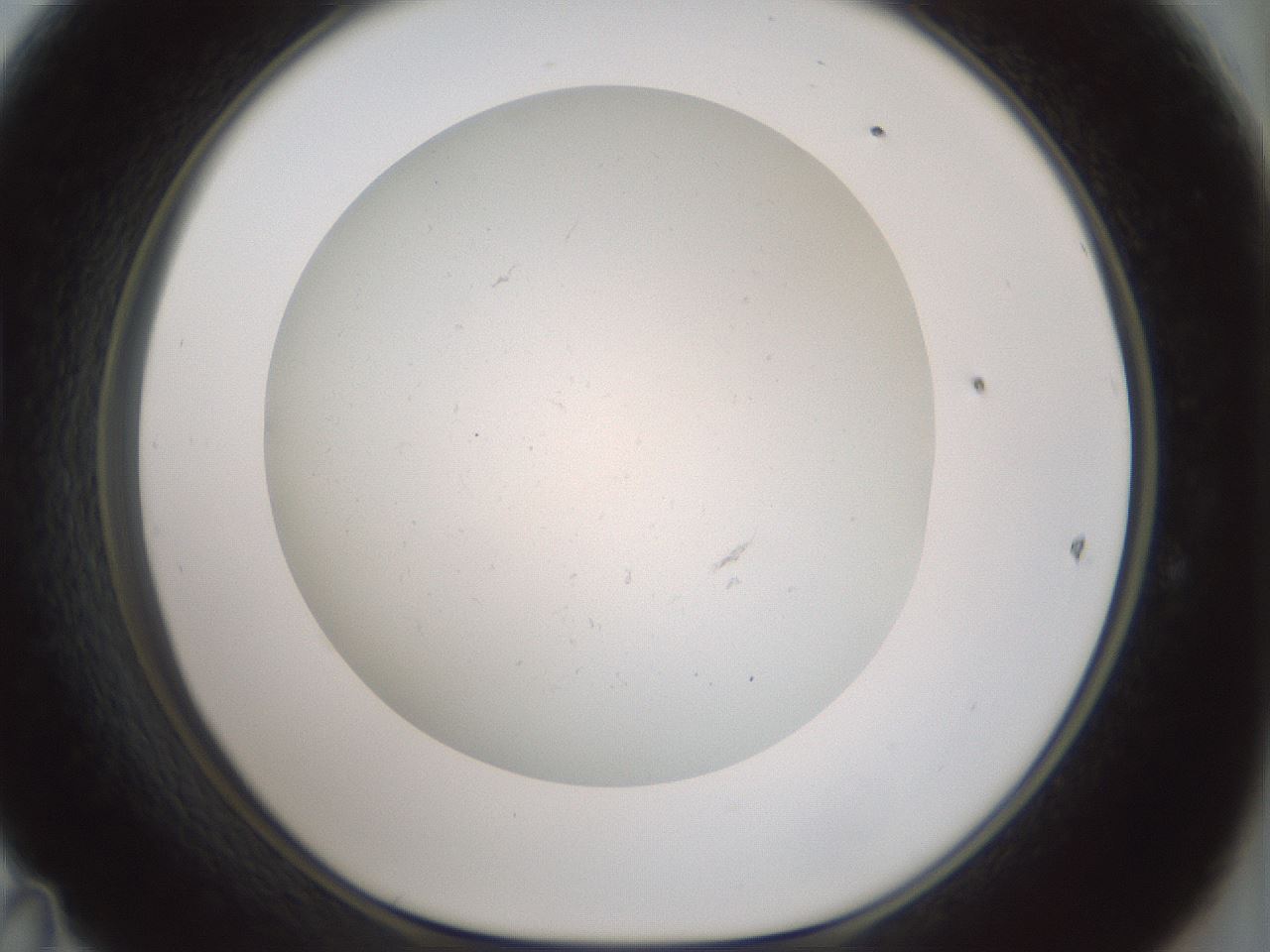 folderID370_plateID1370_batchID4736_wellNum47_profileID1_d1_r83582_ef.jpg