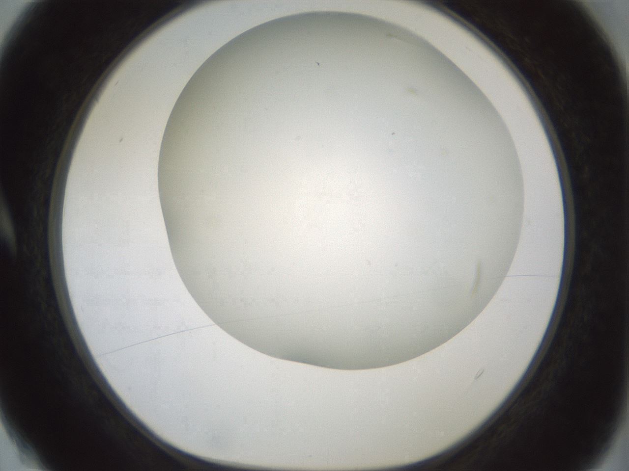 folderID370_plateID1370_batchID4736_wellNum4_profileID1_d1_r83539_ef.jpg