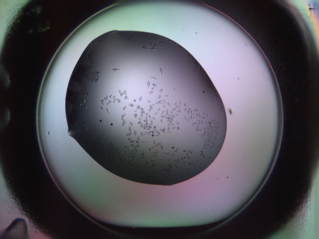 02kl_C11_ImagerDefaults_9.jpg