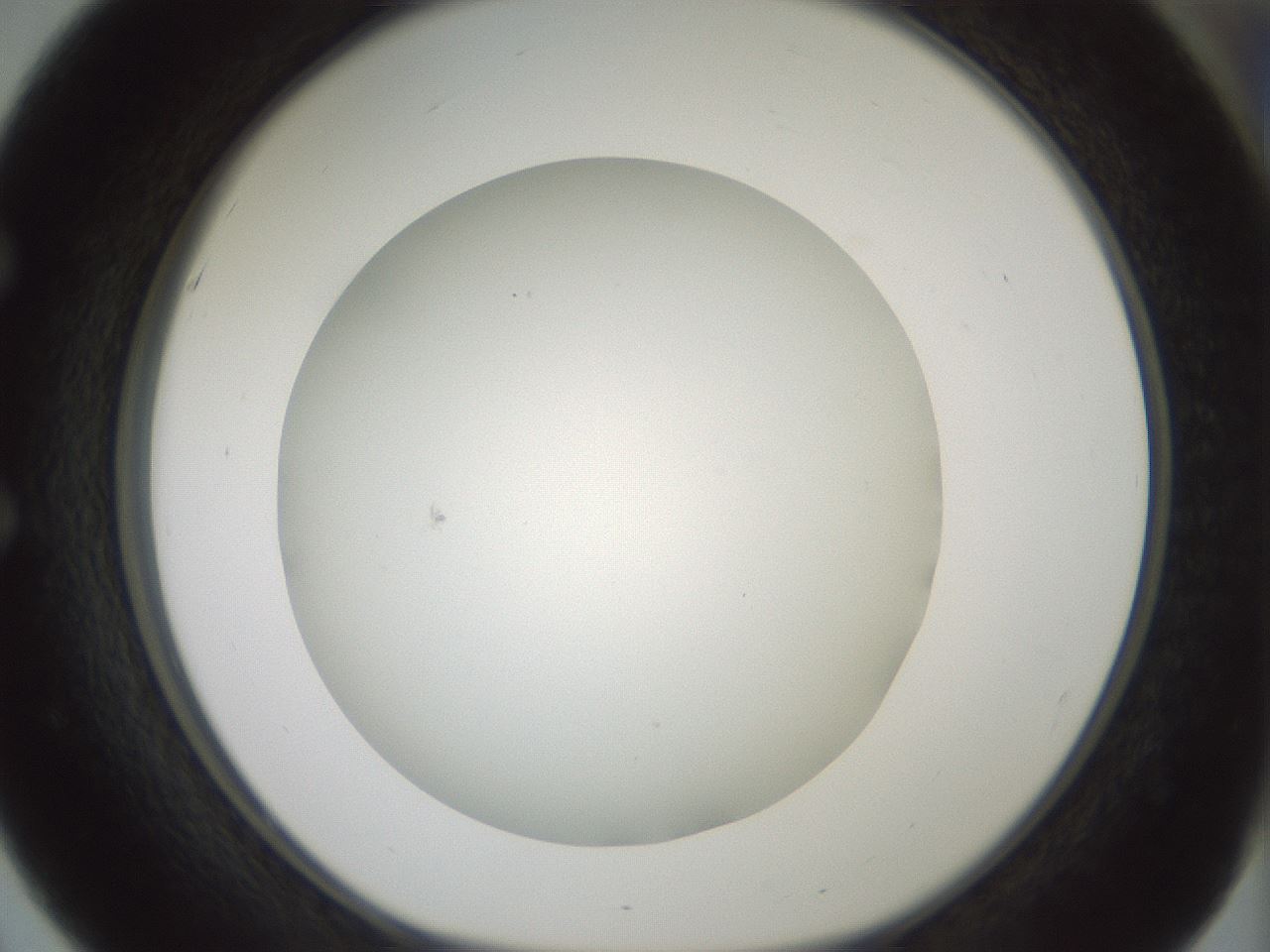 folderID370_plateID1370_batchID4736_wellNum51_profileID1_d1_r83586_ef.jpg