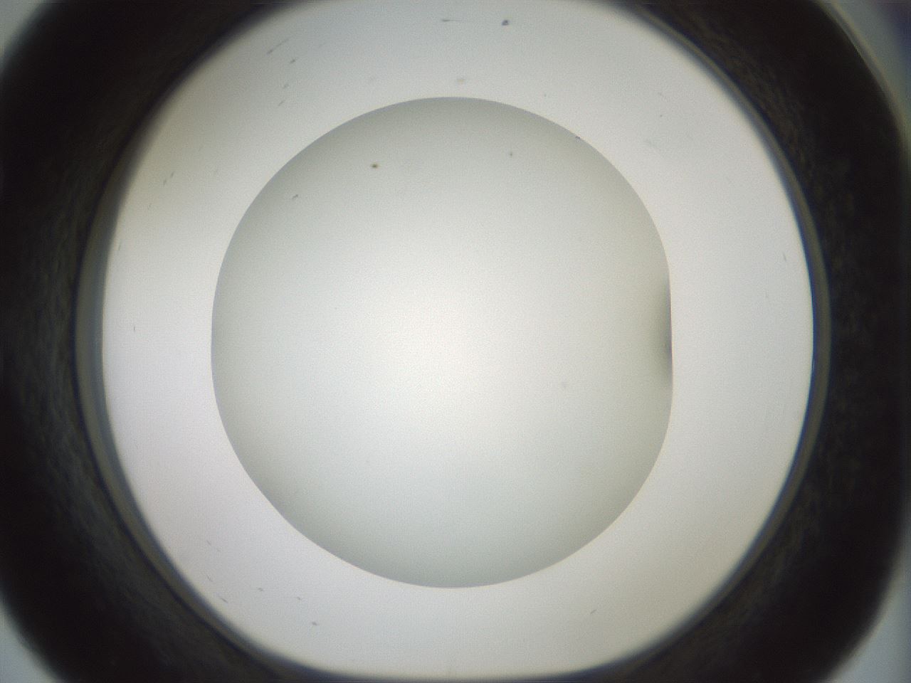 folderID370_plateID1370_batchID4736_wellNum56_profileID1_d1_r83591_ef.jpg