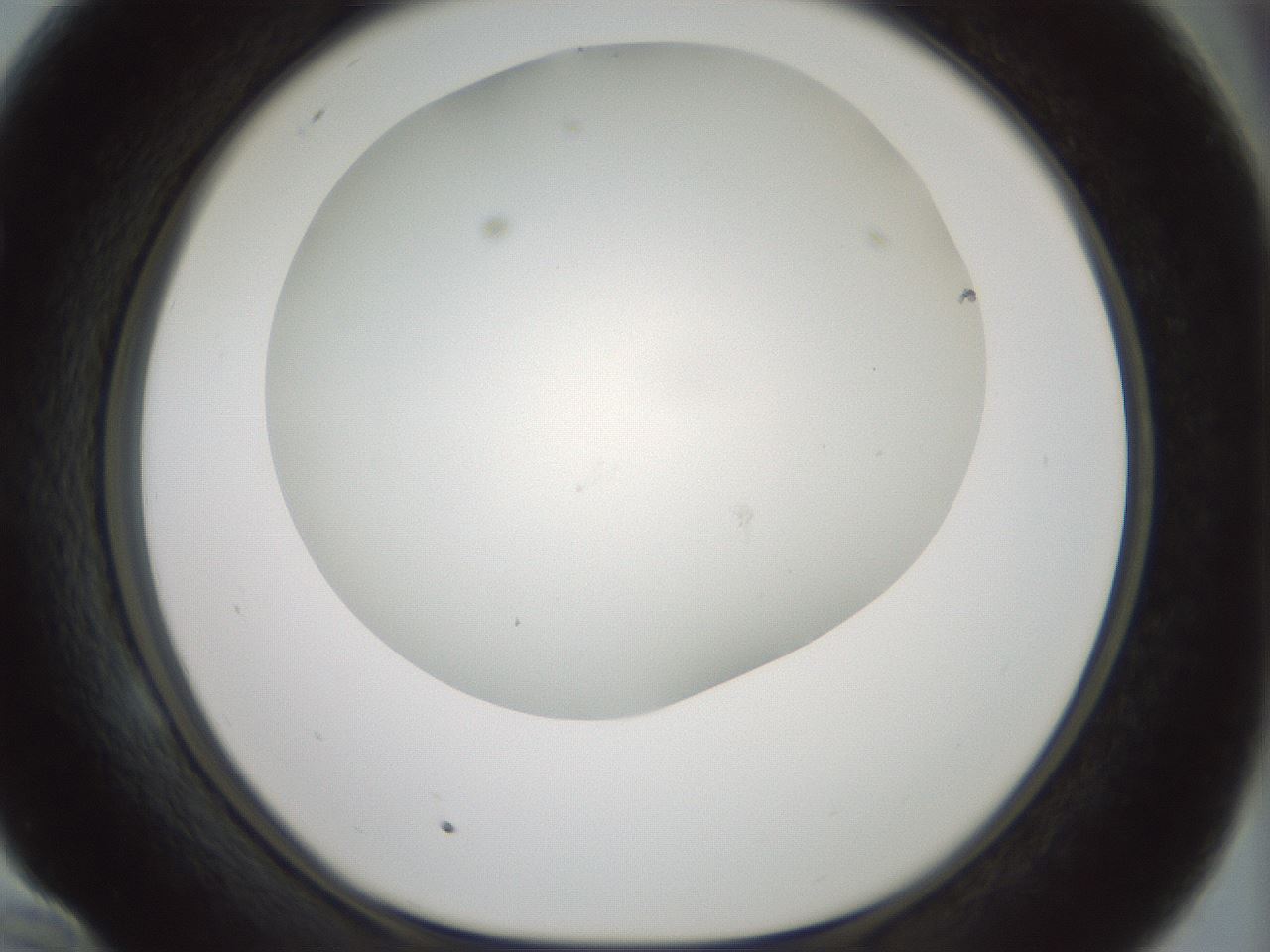 folderID370_plateID1370_batchID4736_wellNum58_profileID1_d1_r83593_ef.jpg