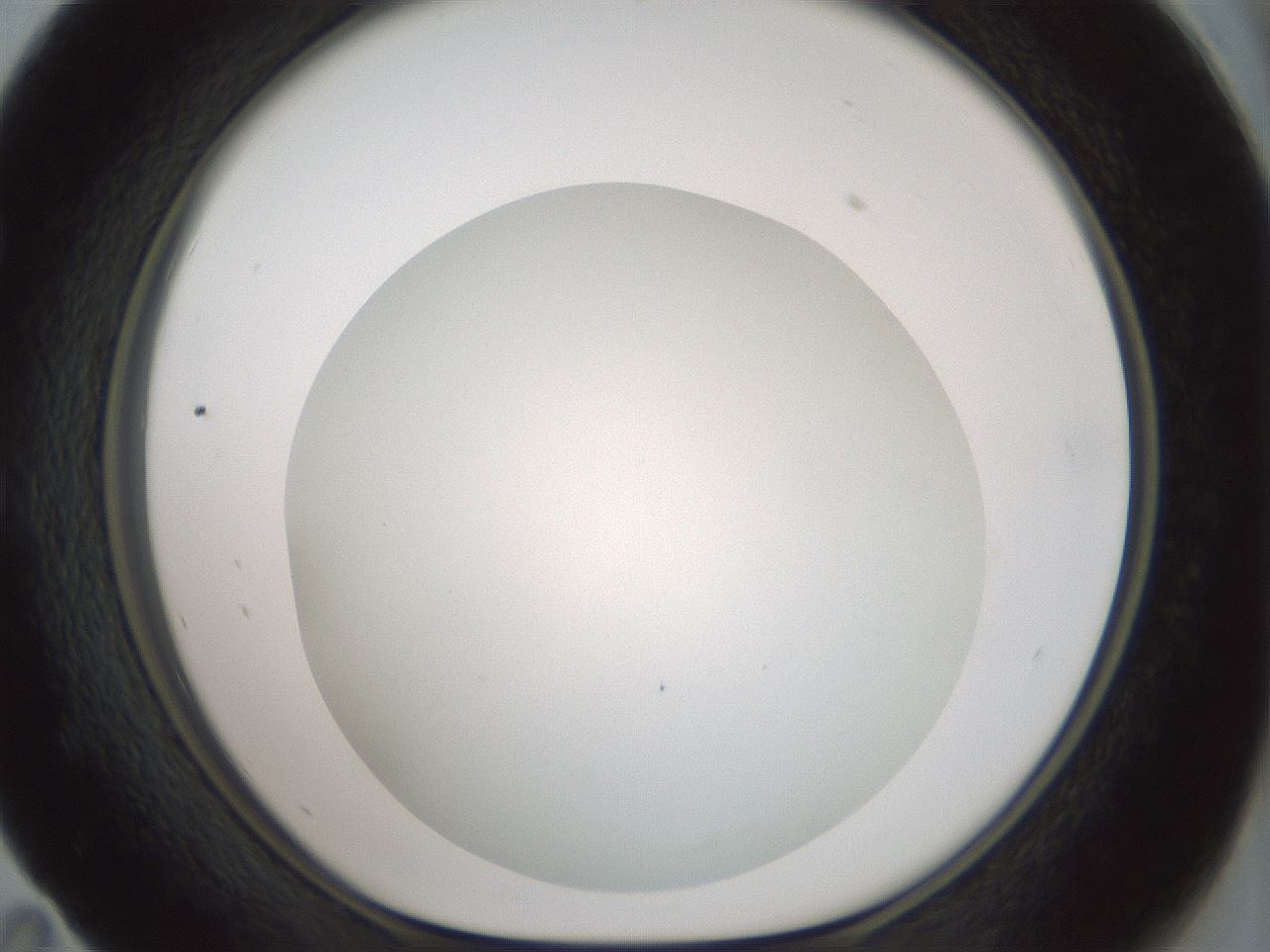 folderID370_plateID1370_batchID4736_wellNum59_profileID1_d1_r83594_ef.jpg