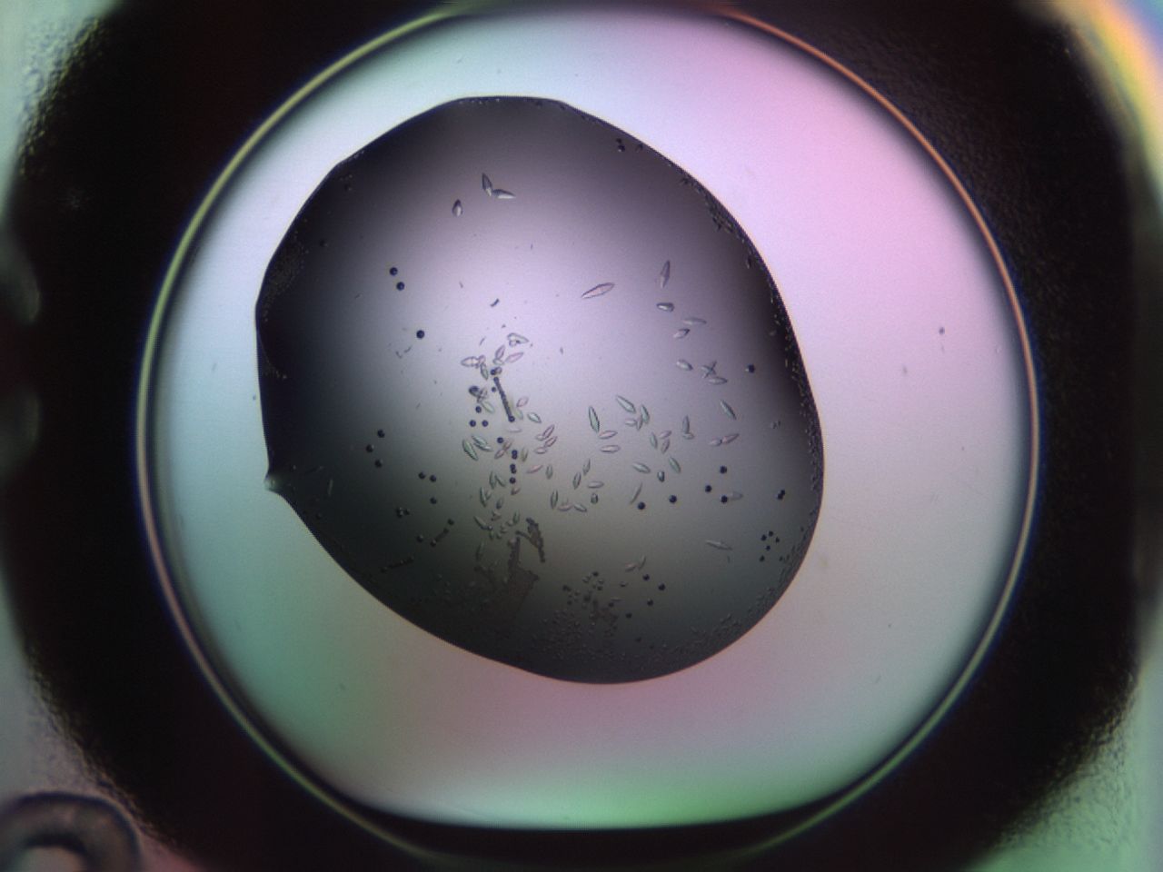 02kl_C12_ImagerDefaults_9.jpg
