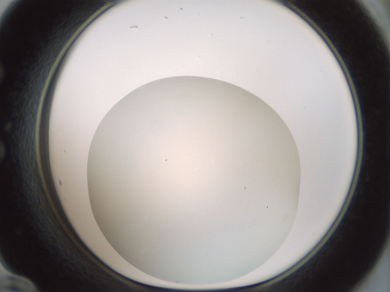 folderID370_plateID1370_batchID4736_wellNum60_profileID1_d1_r83595_ef.jpg