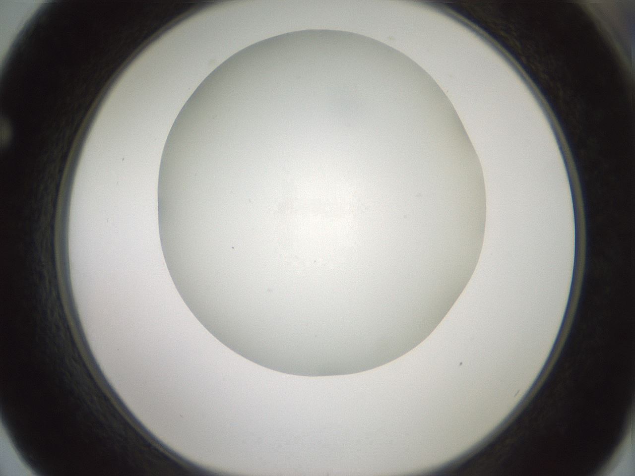 folderID370_plateID1370_batchID4736_wellNum62_profileID1_d1_r83597_ef.jpg
