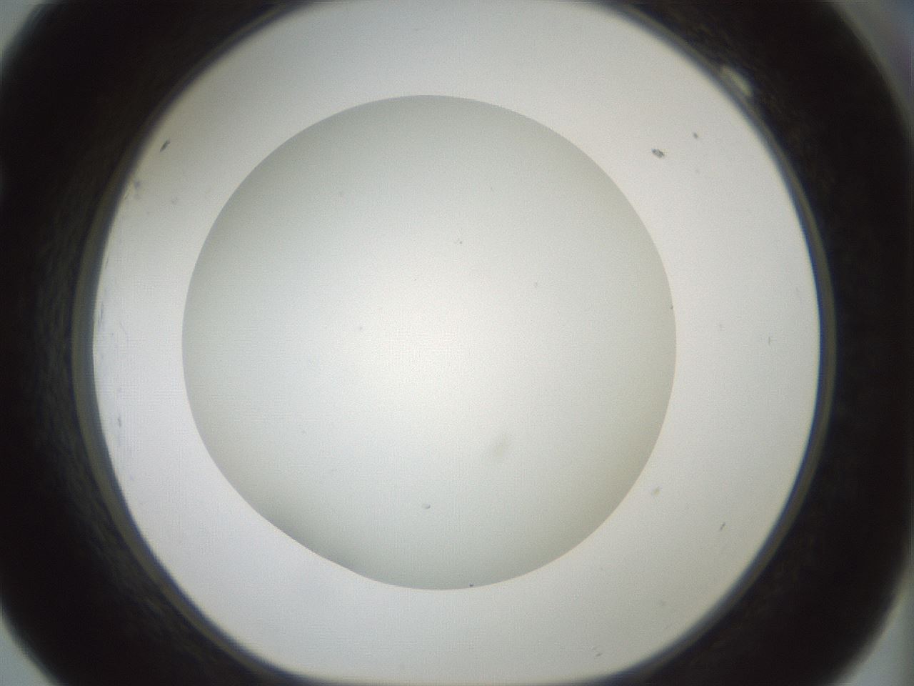 folderID370_plateID1370_batchID4736_wellNum69_profileID1_d1_r83604_ef.jpg