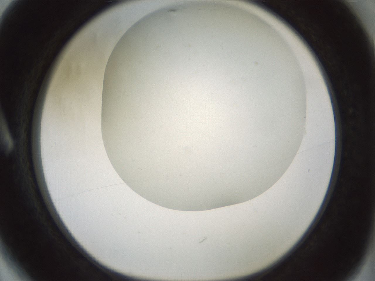 folderID370_plateID1370_batchID4736_wellNum6_profileID1_d1_r83541_ef.jpg