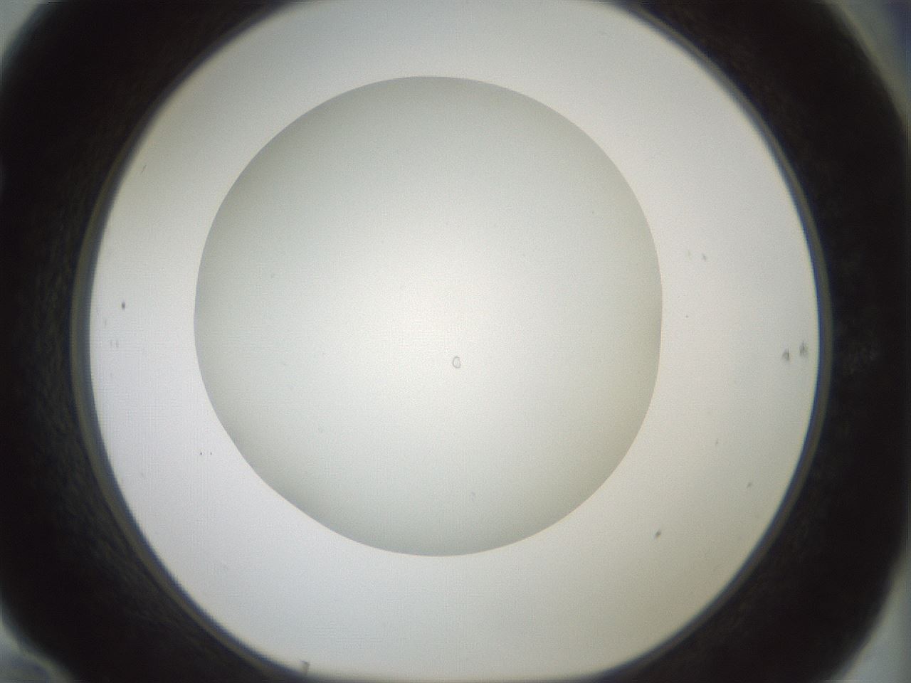 folderID370_plateID1370_batchID4736_wellNum70_profileID1_d1_r83605_ef.jpg