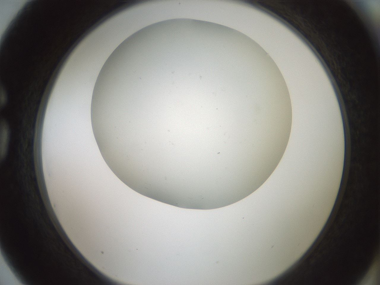 folderID370_plateID1370_batchID4736_wellNum75_profileID1_d1_r83610_ef.jpg