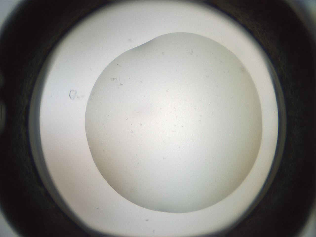 folderID370_plateID1370_batchID4736_wellNum76_profileID1_d1_r83611_ef.jpg