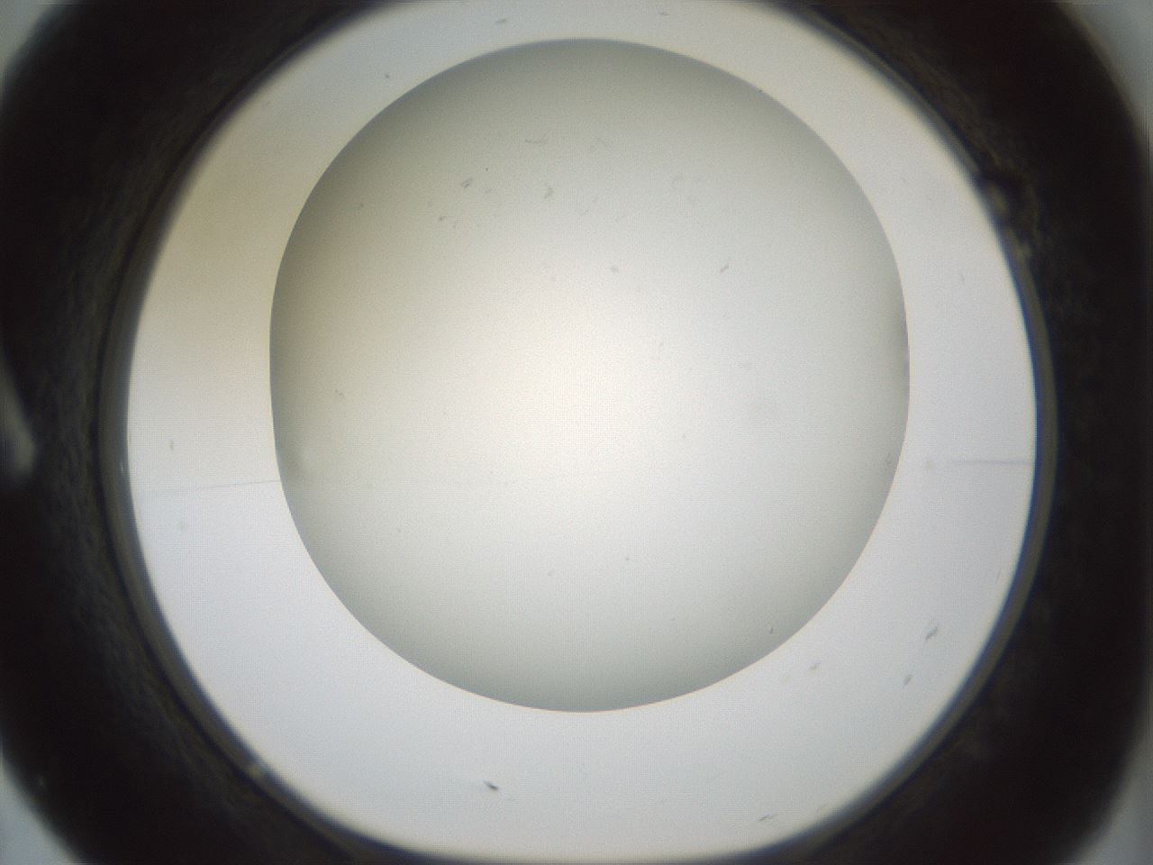 folderID370_plateID1370_batchID4736_wellNum7_profileID1_d1_r83542_ef.jpg