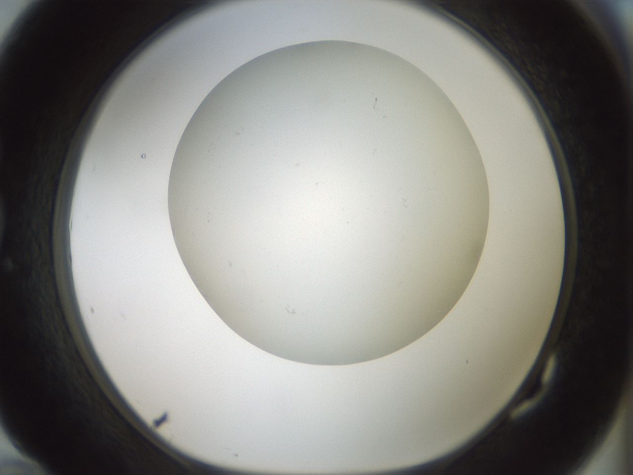 folderID370_plateID1370_batchID4736_wellNum82_profileID1_d1_r83617_ef.jpg