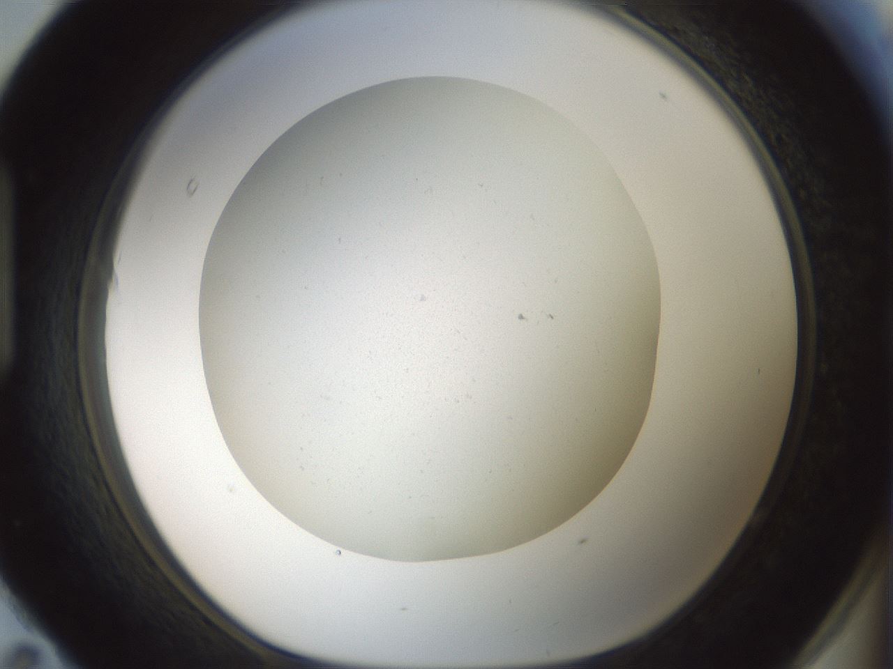 folderID370_plateID1370_batchID4736_wellNum95_profileID1_d1_r83630_ef.jpg