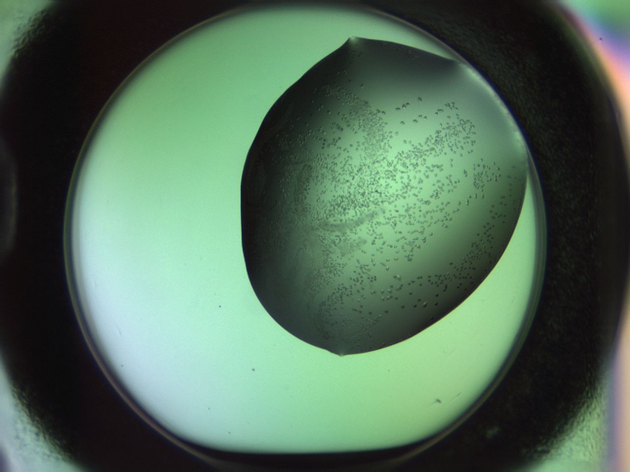 02kl_D3_ImagerDefaults_9.jpg