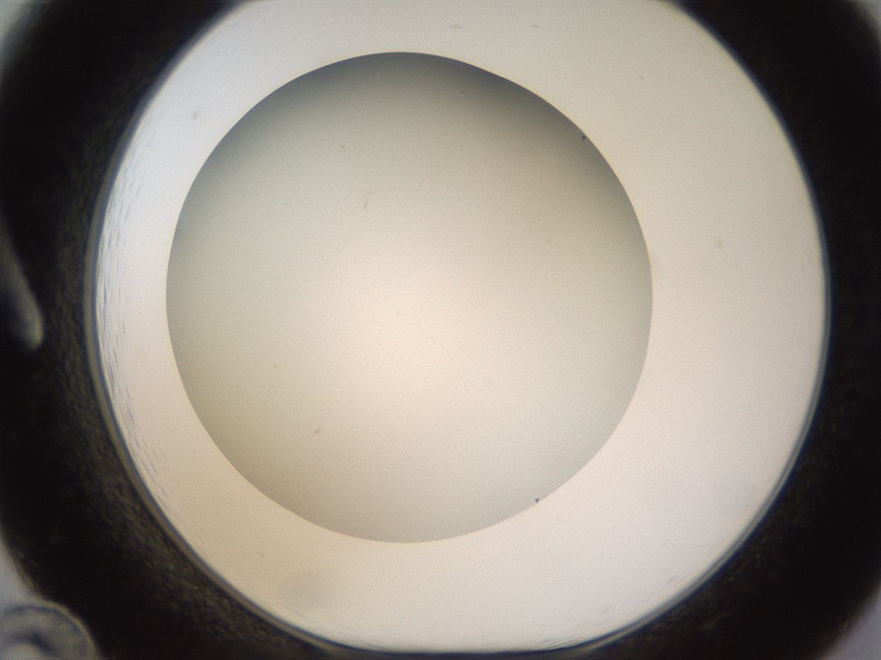 folderID371_plateID1371_batchID4735_wellNum12_profileID1_d1_r83451_ef.jpg