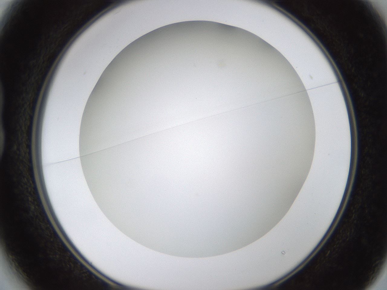 folderID371_plateID1371_batchID4735_wellNum13_profileID1_d1_r83452_ef.jpg