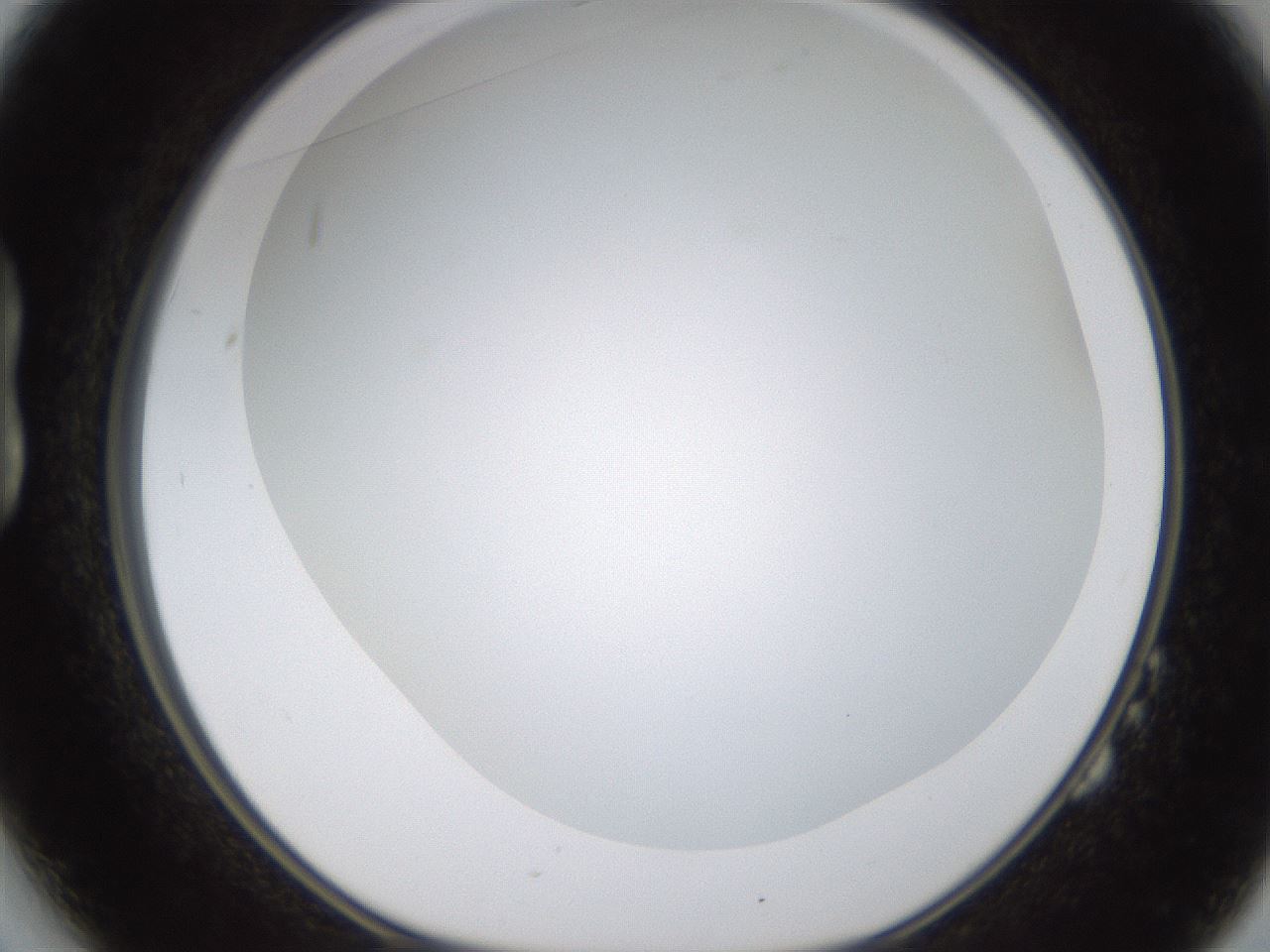 folderID371_plateID1371_batchID4735_wellNum14_profileID1_d1_r83453_ef.jpg