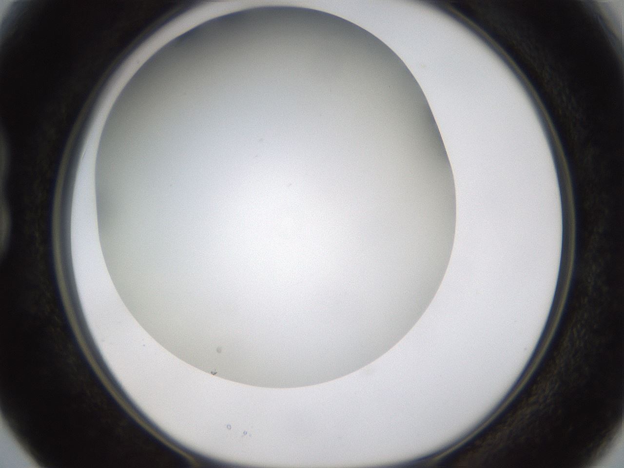 folderID371_plateID1371_batchID4735_wellNum15_profileID1_d1_r83454_ef.jpg