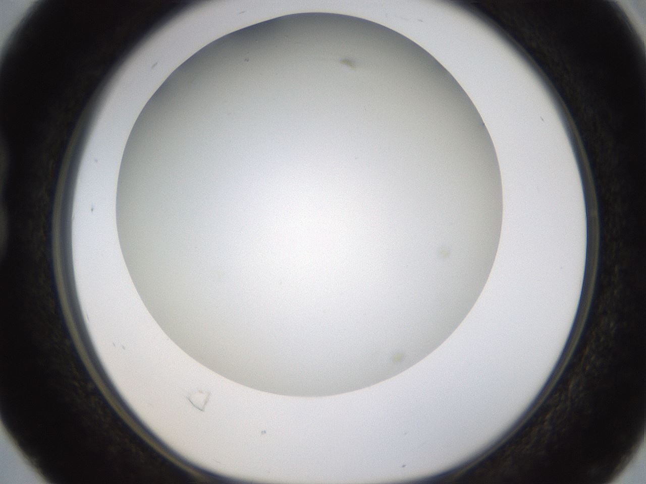 folderID371_plateID1371_batchID4735_wellNum16_profileID1_d1_r83455_ef.jpg
