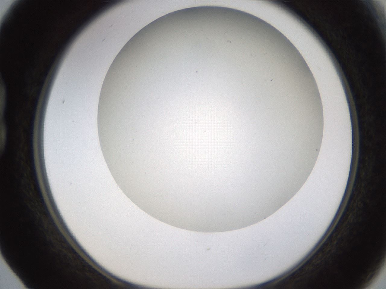 folderID371_plateID1371_batchID4735_wellNum17_profileID1_d1_r83456_ef.jpg