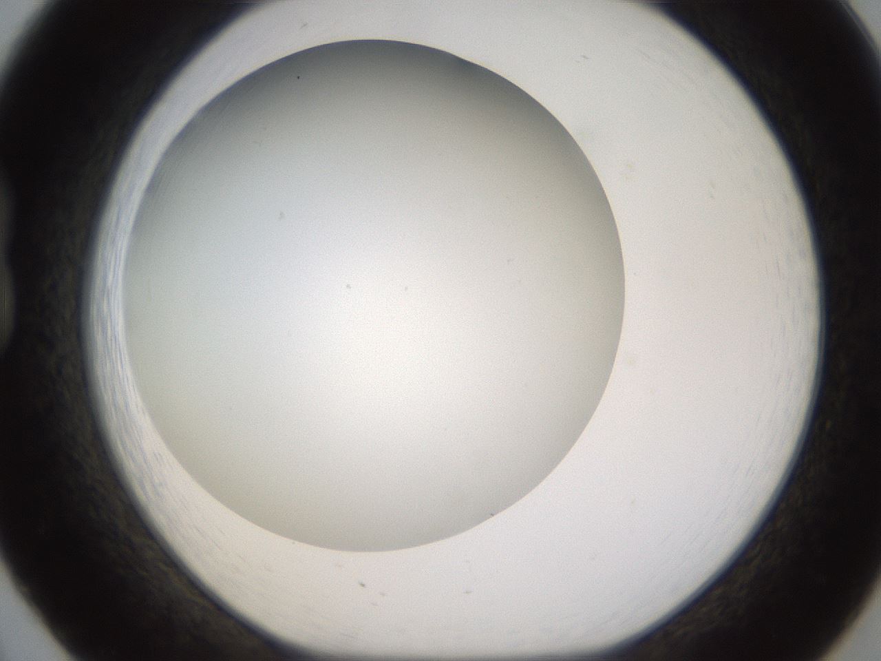folderID371_plateID1371_batchID4735_wellNum20_profileID1_d1_r83459_ef.jpg