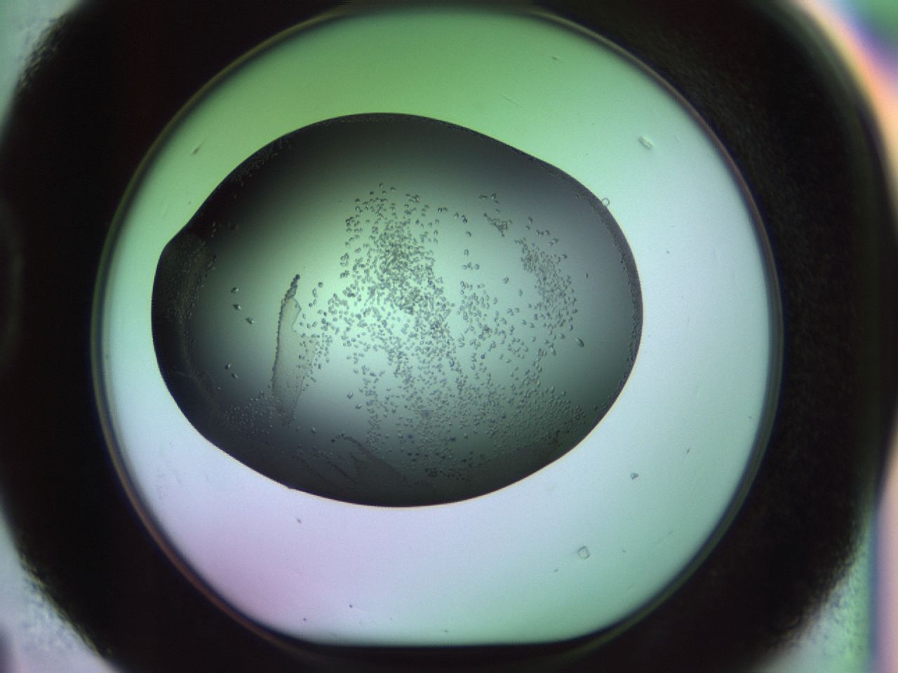 02kl_D4_ImagerDefaults_9.jpg