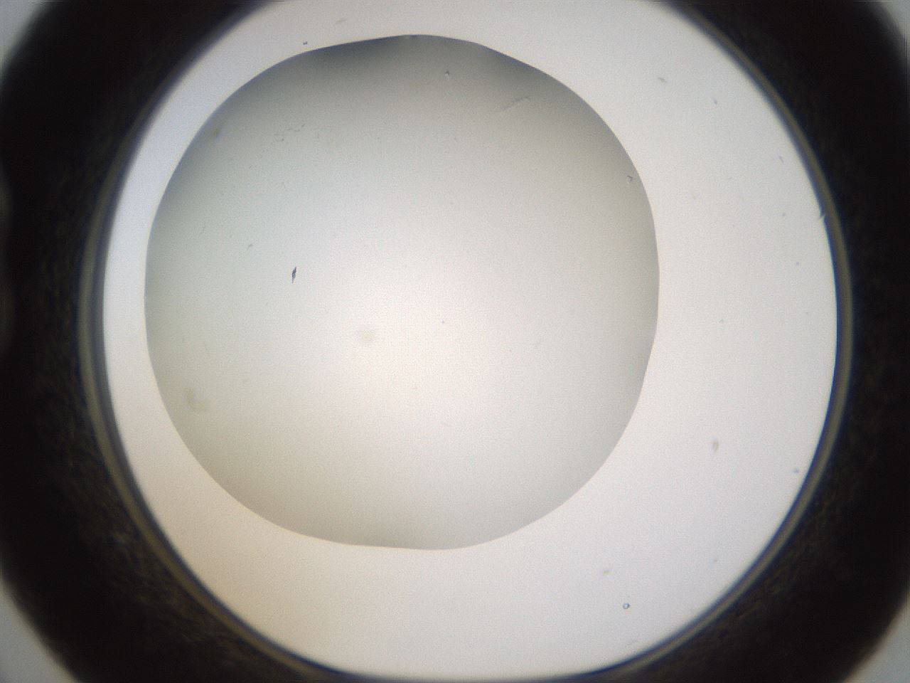 folderID371_plateID1371_batchID4735_wellNum21_profileID1_d1_r83460_ef.jpg