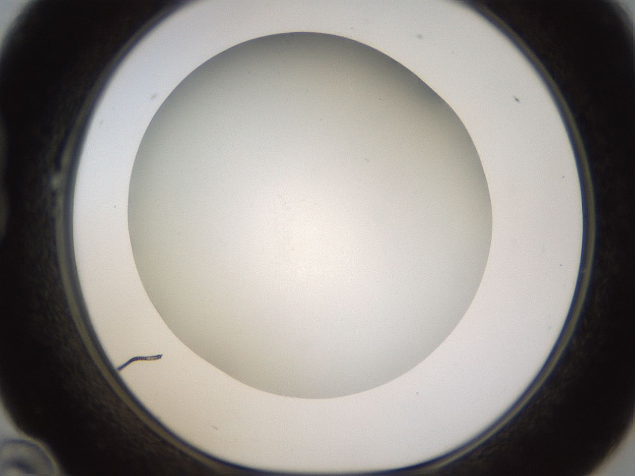 folderID371_plateID1371_batchID4735_wellNum22_profileID1_d1_r83461_ef.jpg