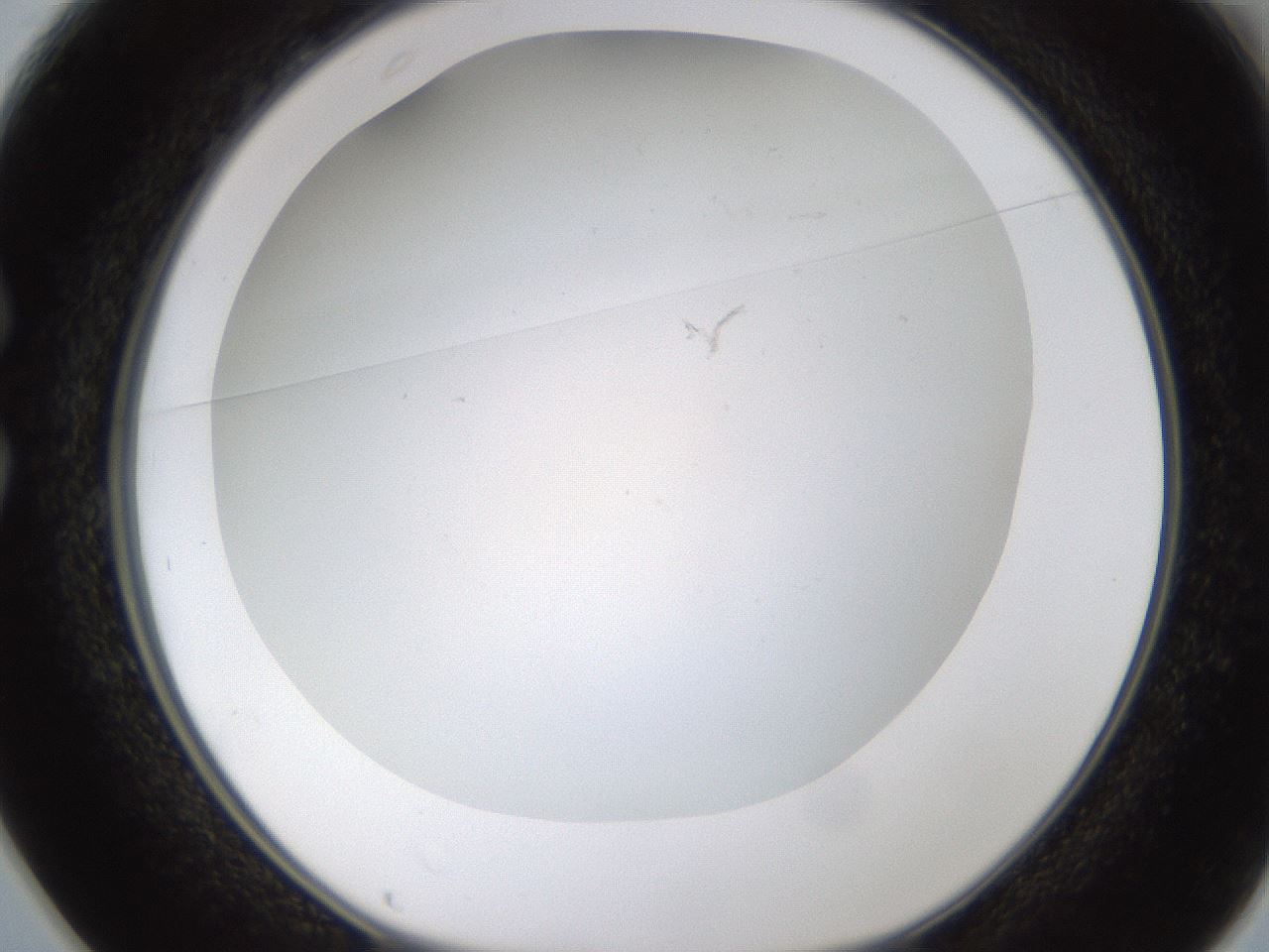folderID371_plateID1371_batchID4735_wellNum25_profileID1_d1_r83464_ef.jpg