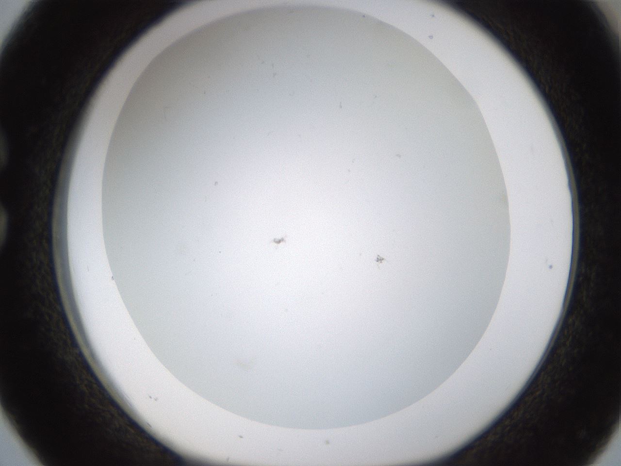 folderID371_plateID1371_batchID4735_wellNum26_profileID1_d1_r83465_ef.jpg
