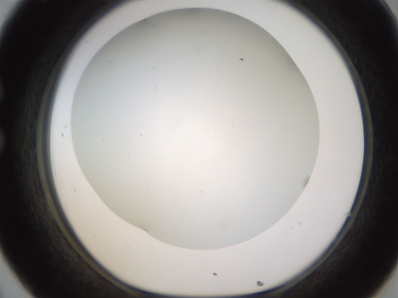 folderID371_plateID1371_batchID4735_wellNum32_profileID1_d1_r83471_ef.jpg