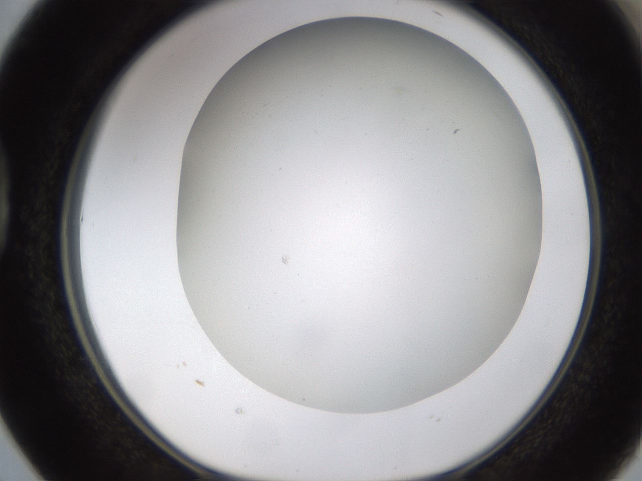 folderID371_plateID1371_batchID4735_wellNum38_profileID1_d1_r83477_ef.jpg