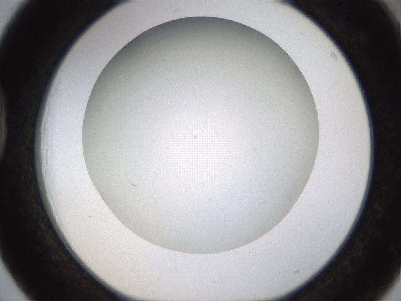 folderID371_plateID1371_batchID4735_wellNum39_profileID1_d1_r83478_ef.jpg