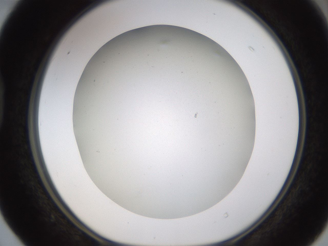 folderID371_plateID1371_batchID4735_wellNum40_profileID1_d1_r83479_ef.jpg