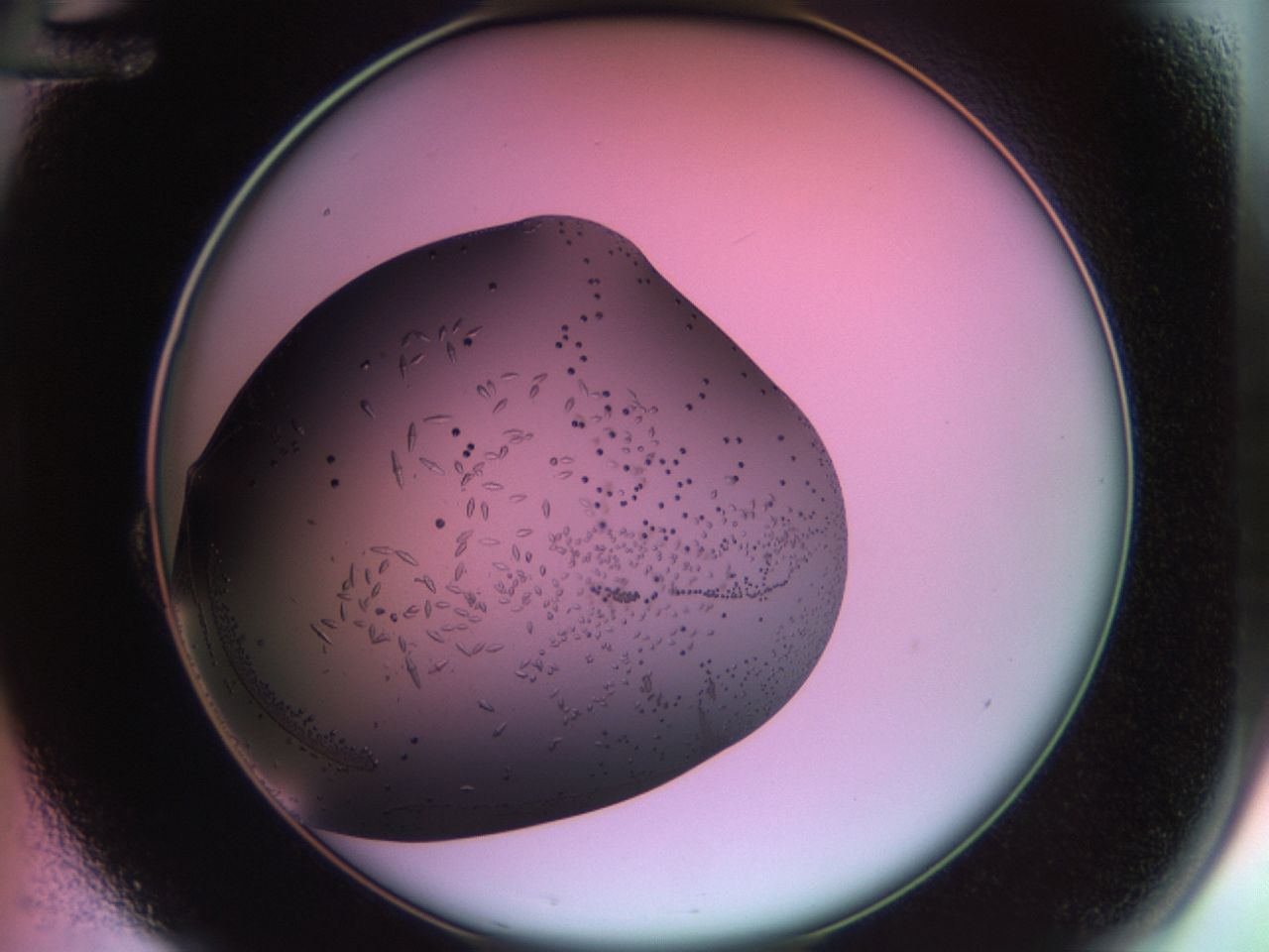 02kl_B12_ImagerDefaults_9.jpg