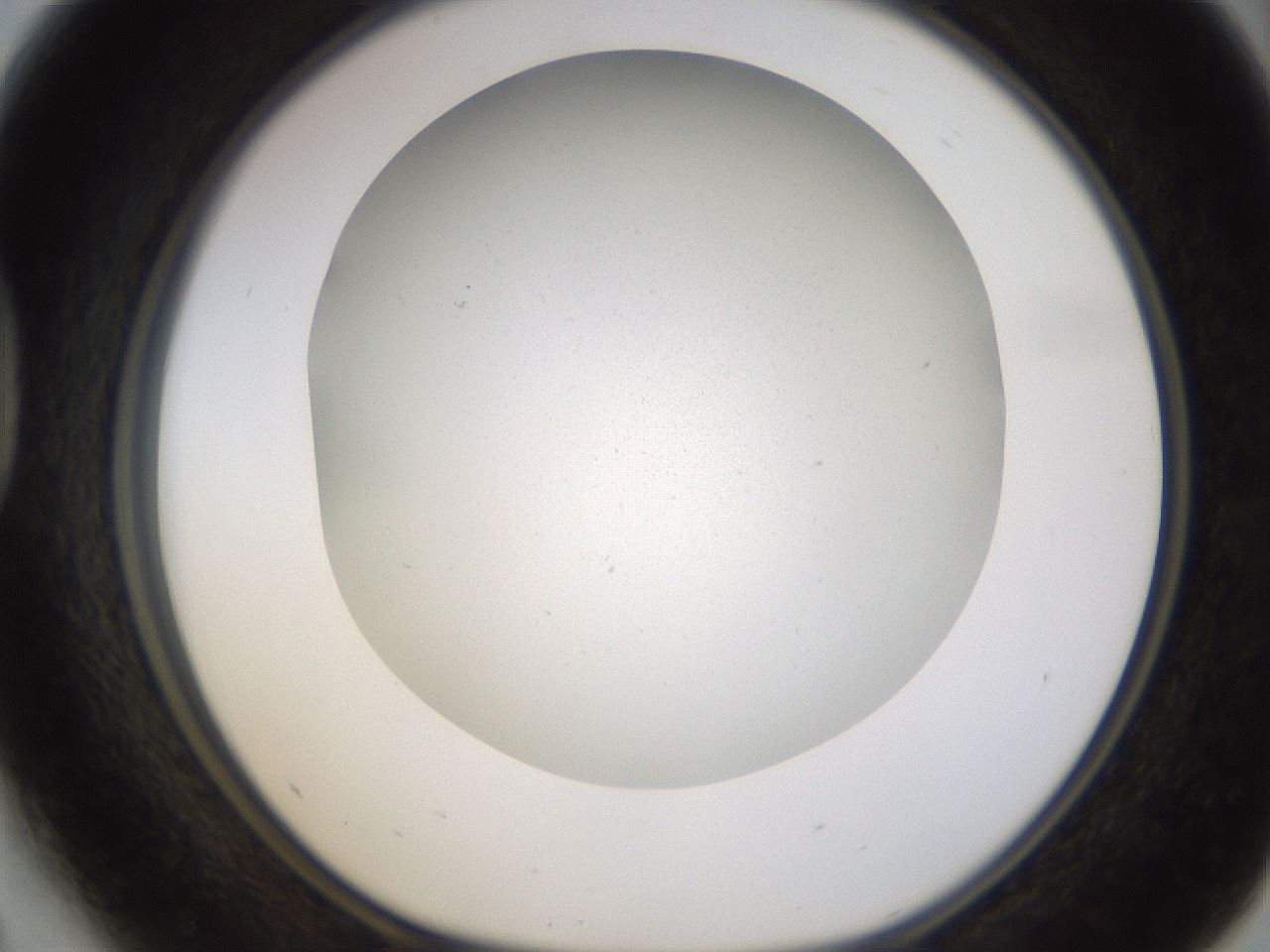 folderID371_plateID1371_batchID4735_wellNum41_profileID1_d1_r83480_ef.jpg